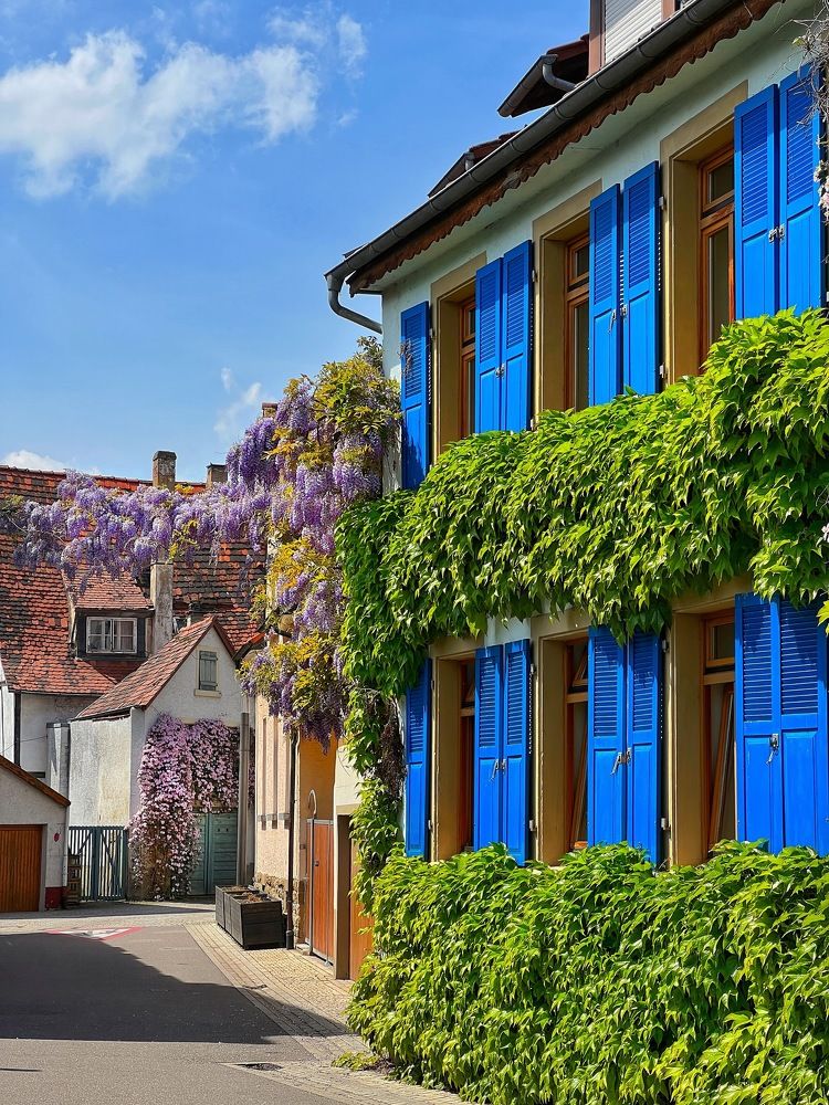 Photograph by Alexander Siemens