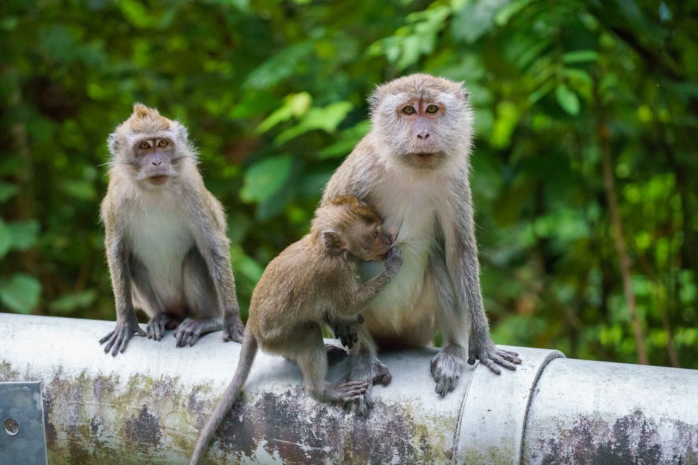 Photograph by Татьяна