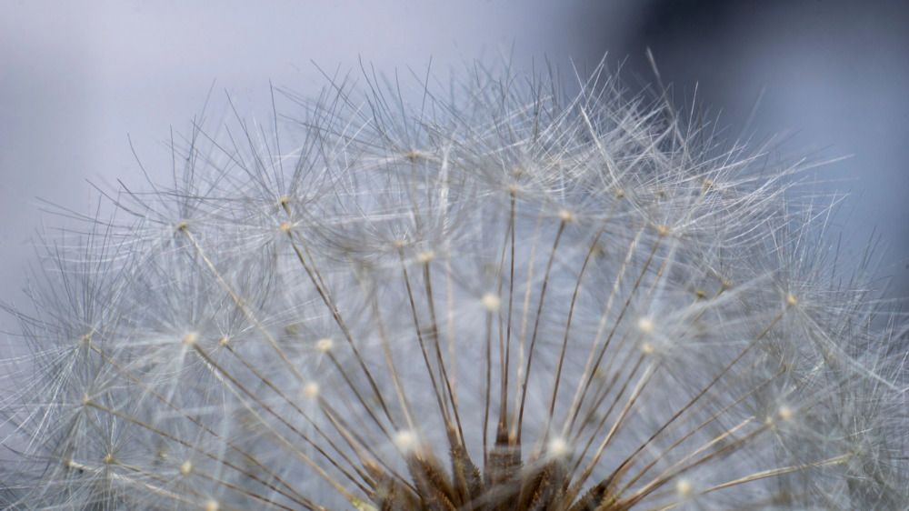 Photograph by Алексей Жариков