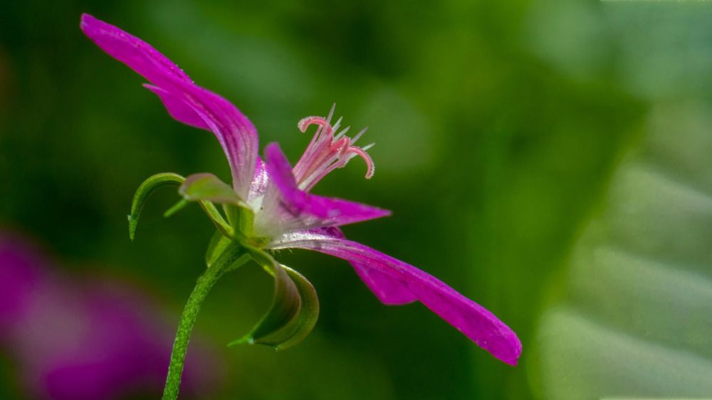 Photograph by Алексей Жариков