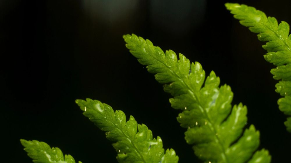 Photograph by Алексей Жариков