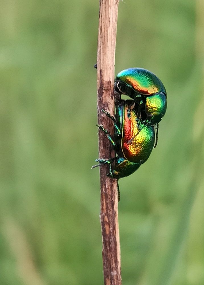 Photograph by Новикова Елена Сергеевна