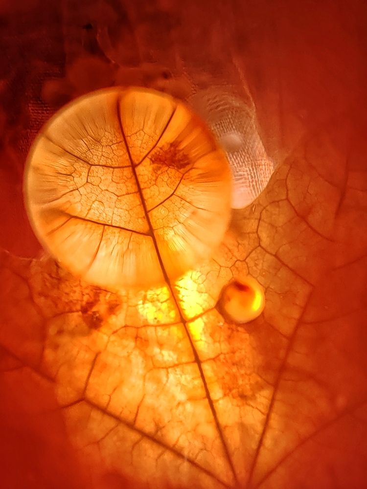Photograph by Татьяна Егорова