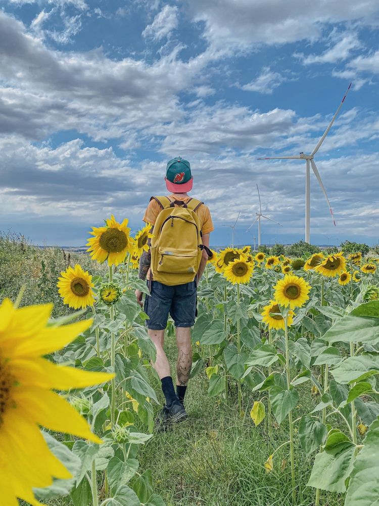 Фотография автора Александр Заикин