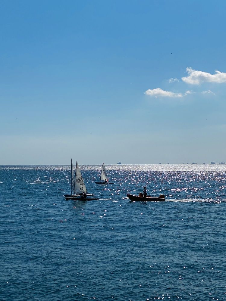 Фотография автора Александр Заикин