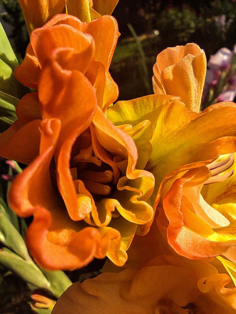 Photograph by Екатерина