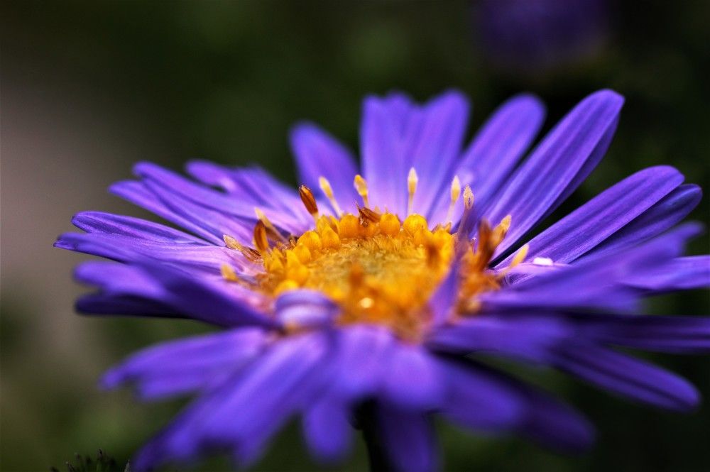 Photograph by Марина Моссий