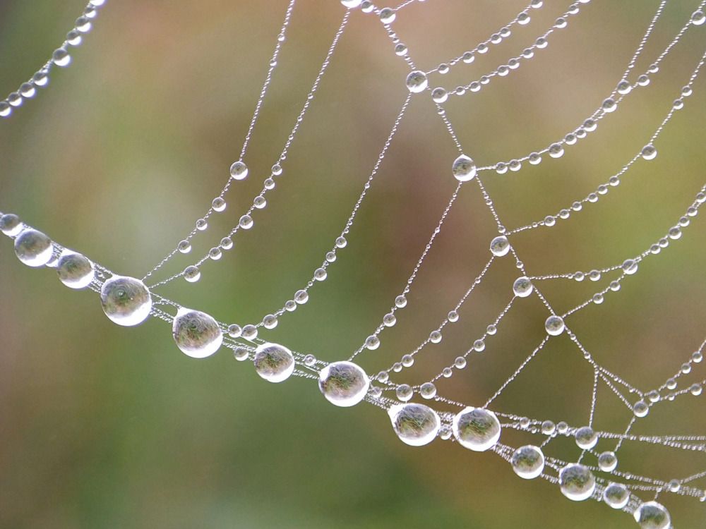 Photograph by Юлия Смирнова