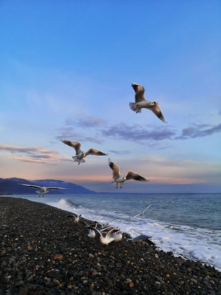 Photograph by Natali AB