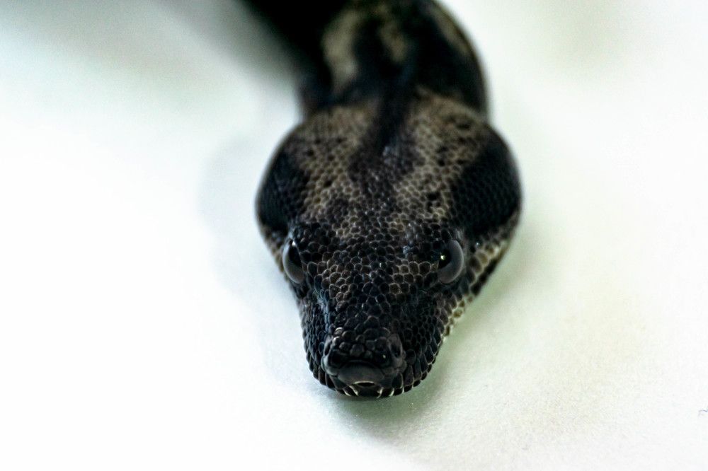 Photograph by Наталья Вялых