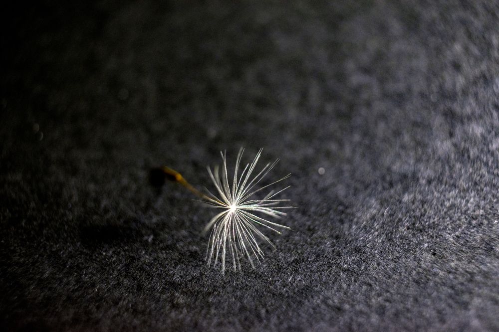 Photograph by Наталья Вялых