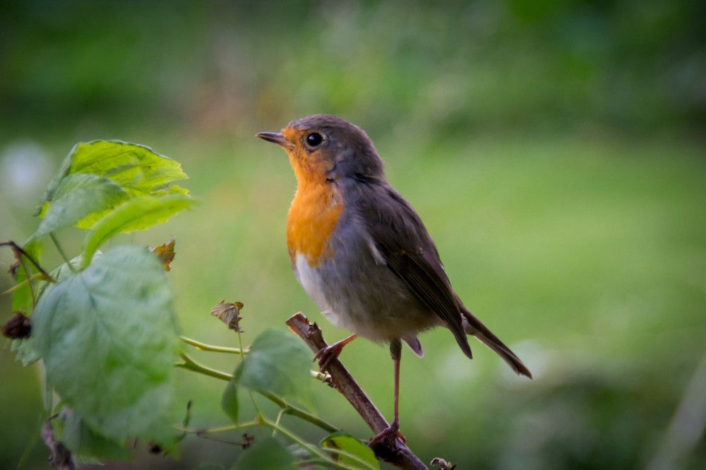 Фотография автора Юлия Кранина