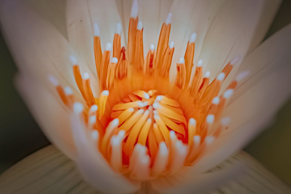 Фотография автора motomoto std