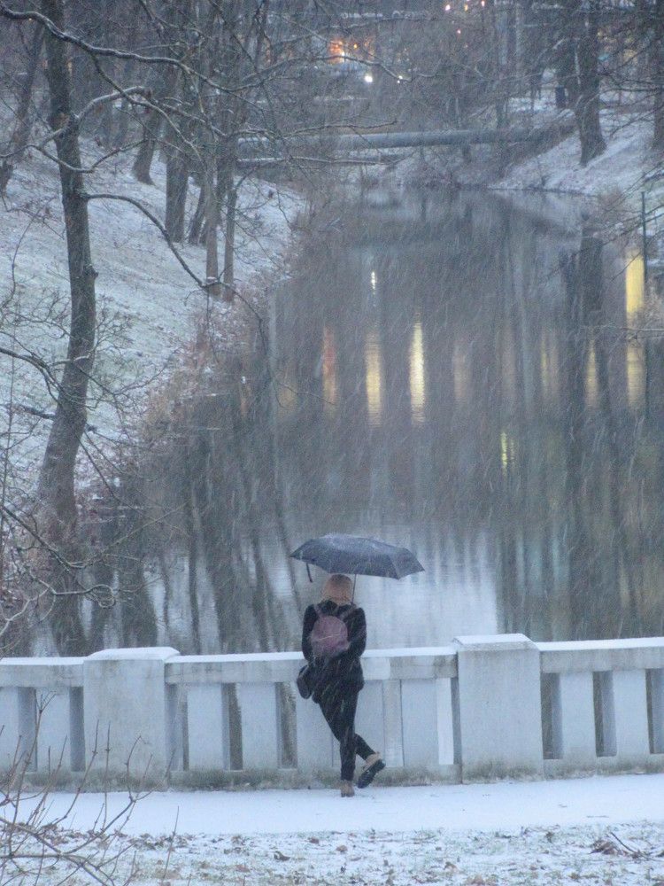 Photograph by Ирина Шведчикова