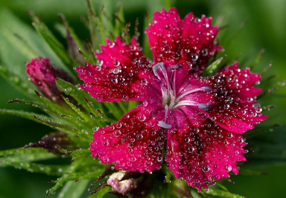 Photograph by Вишневецкая Светлана