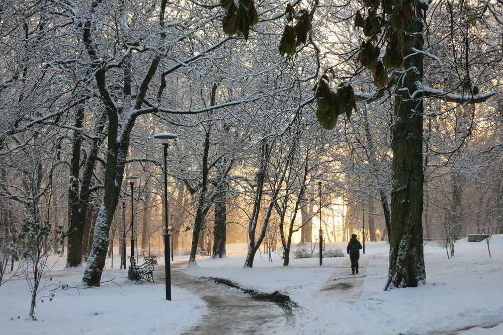 Photograph by Ирина Шведчикова