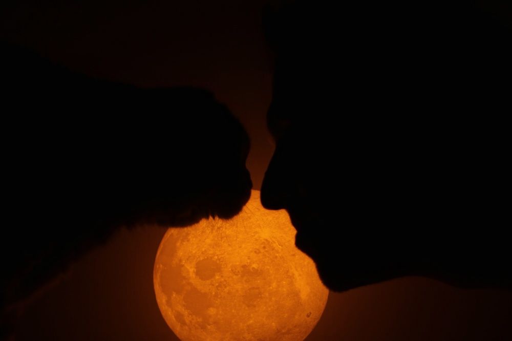 Фотография автора Елена Мурашова