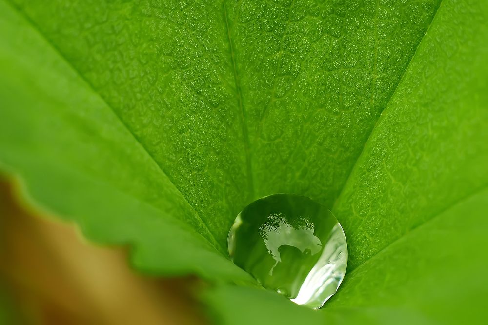 Photograph by Макуха Ольга