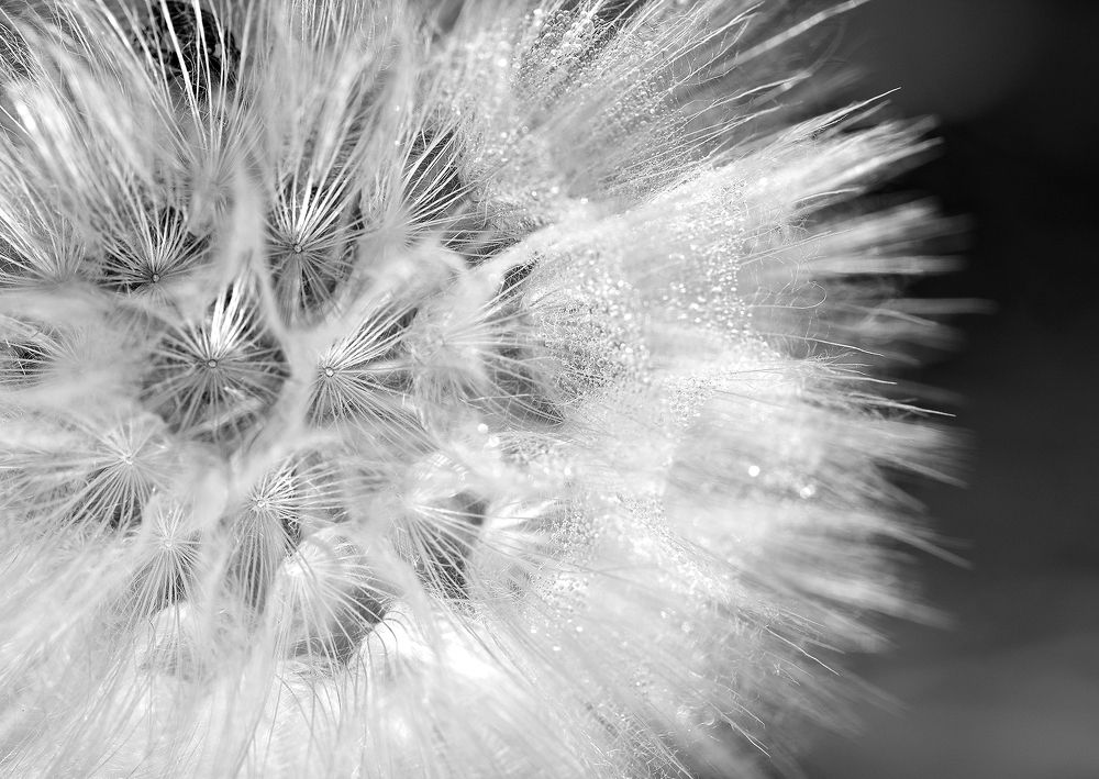 Photograph by Макуха Ольга