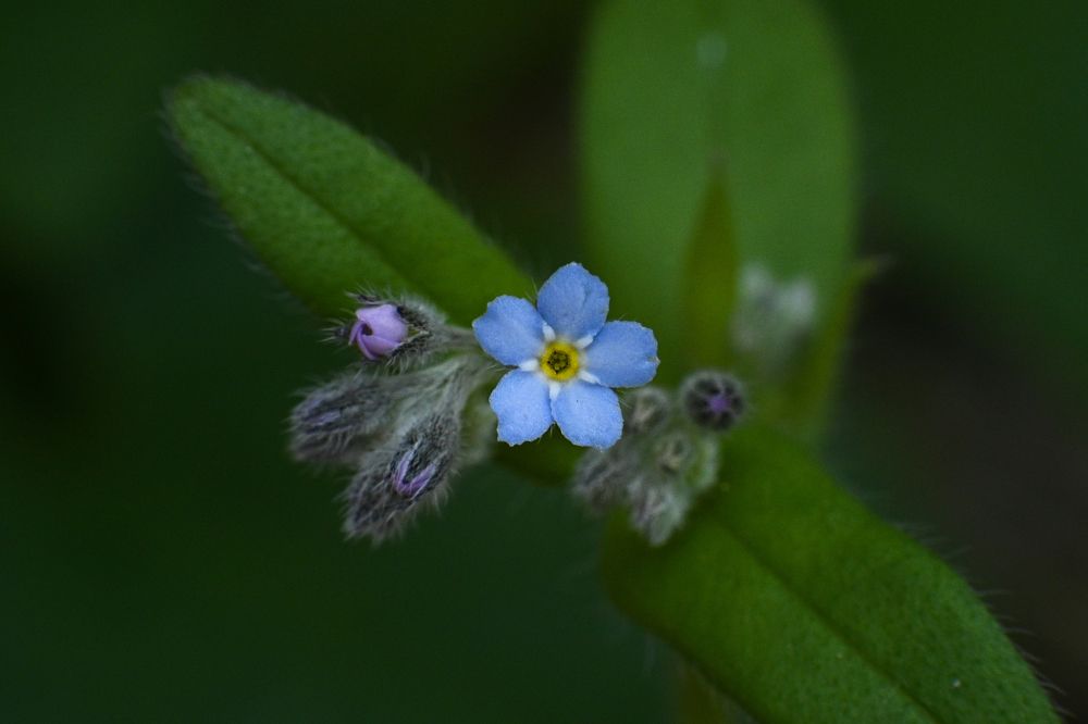Photograph by Анна Новосельцева