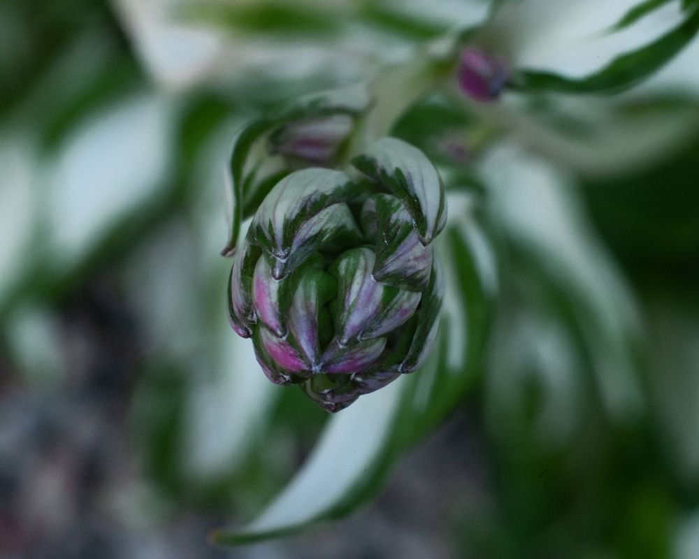 Photograph by Анна Новосельцева