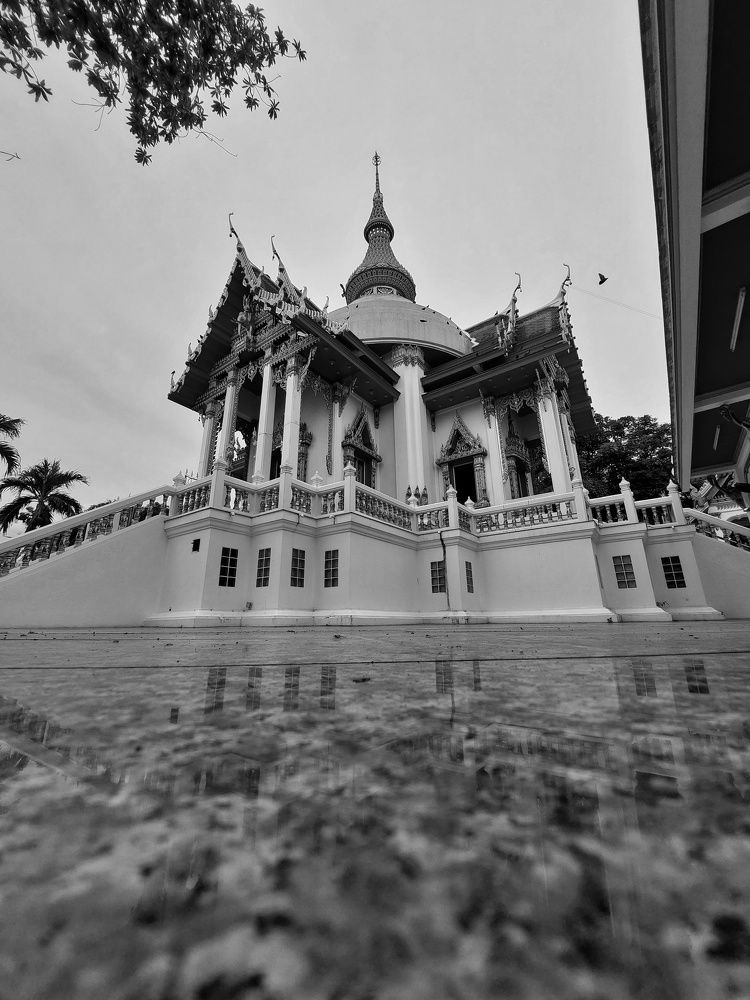 Photograph by Aref rafiepour