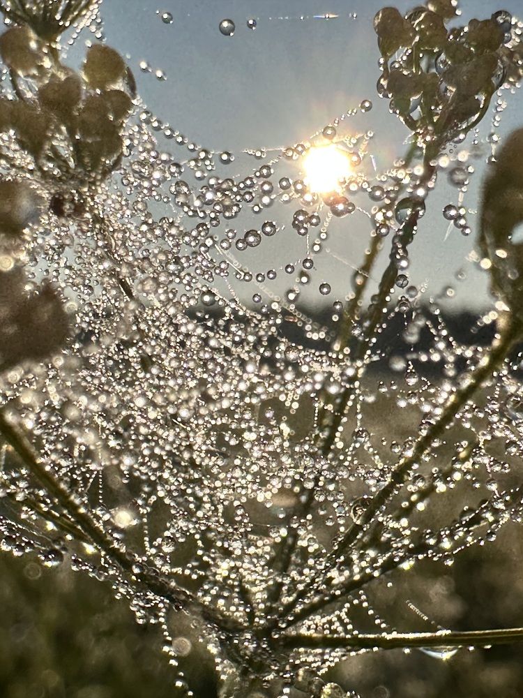 Photograph by Лариса Акинчиц