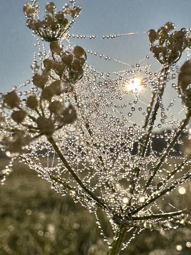 Photograph by Лариса Акинчиц