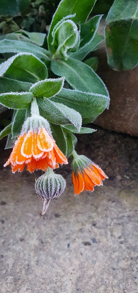 Photograph by Анастасия Трофимовская