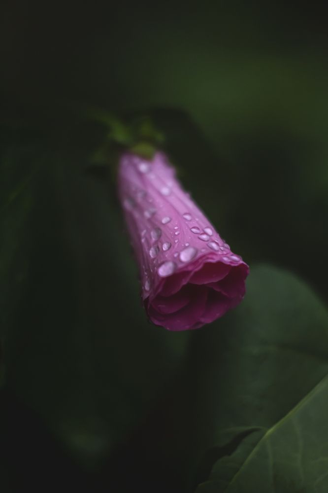 Photograph by Ольга Глухарёва