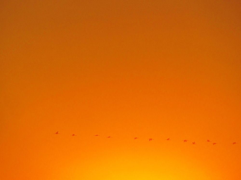 Photograph by Петр Нефедьев