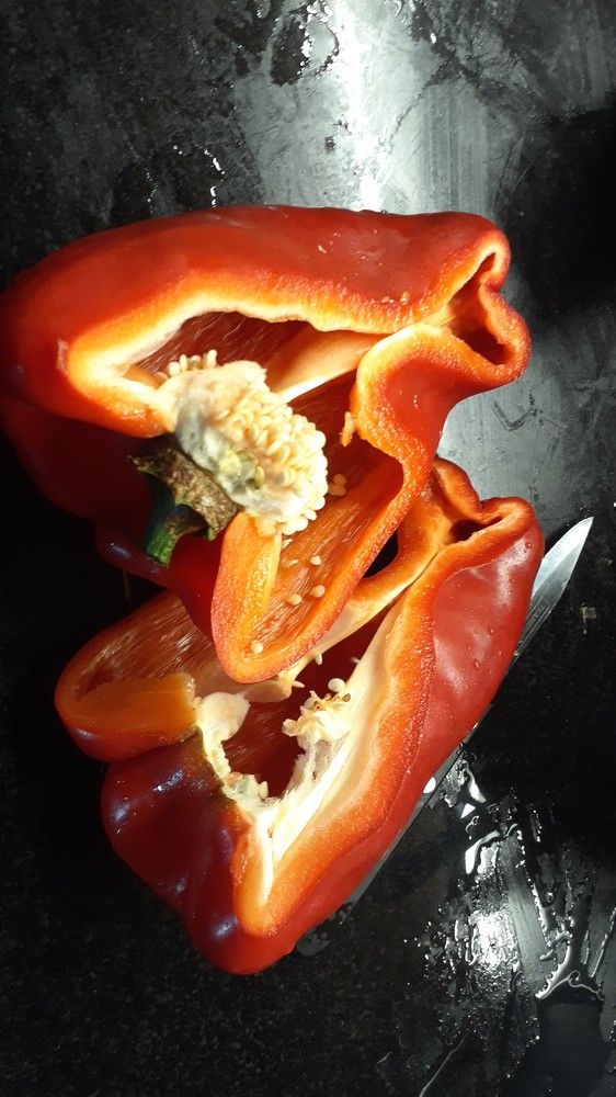 Photograph by Markov Dima