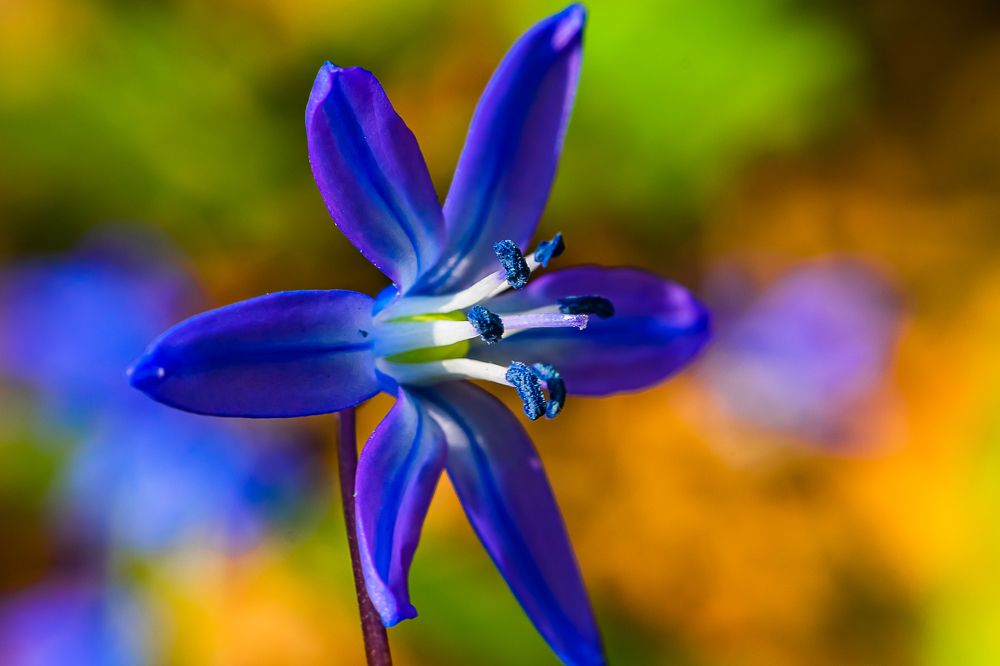 Фотография автора Николай Бологов