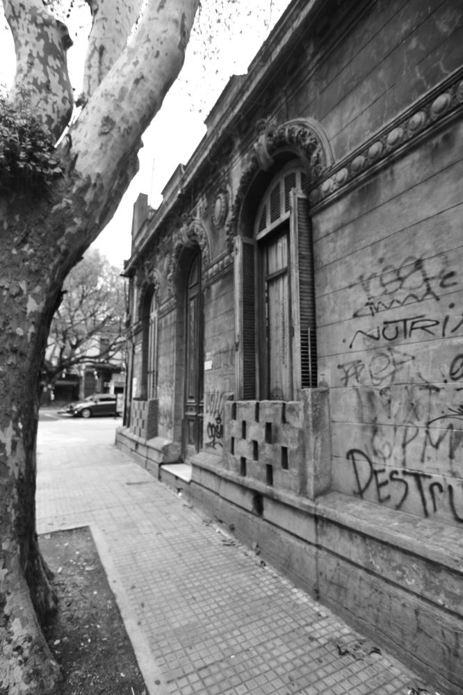 Photograph by Markov Dima