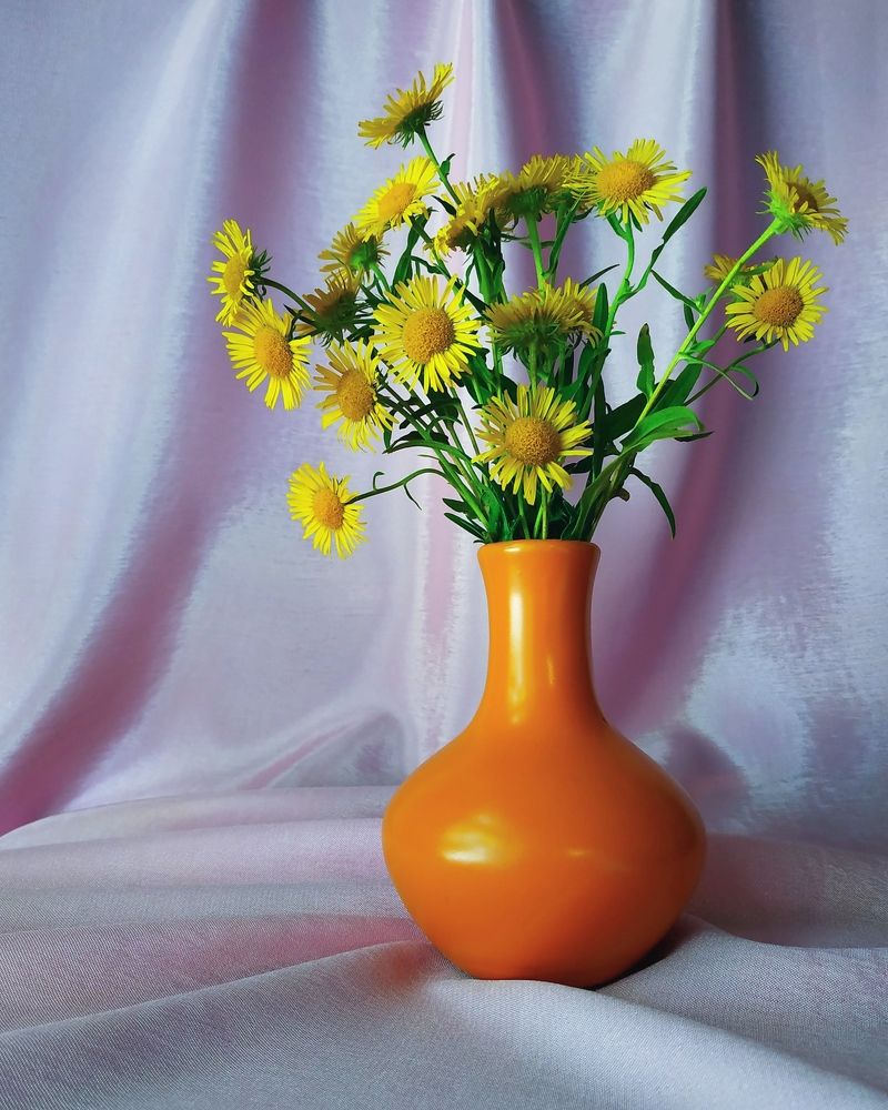 Photograph by Наталья Ефимова