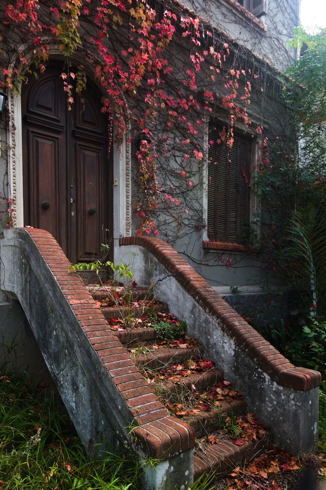 Photograph by Markov Dima