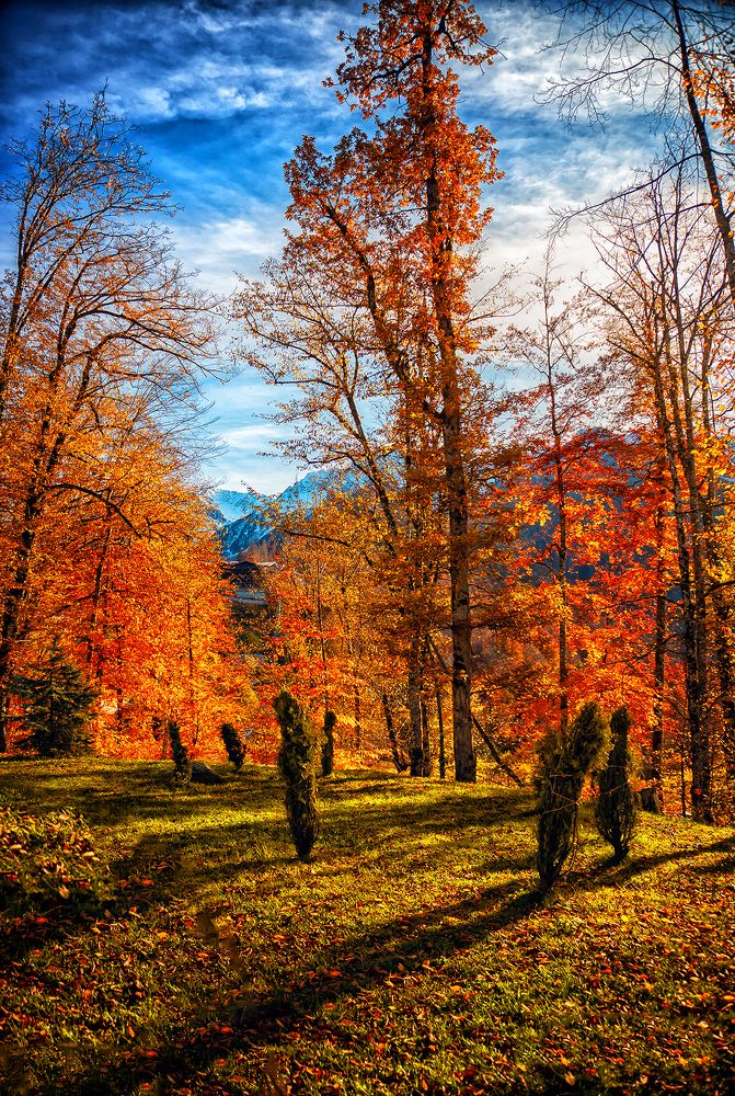 ВОТ И Осень !