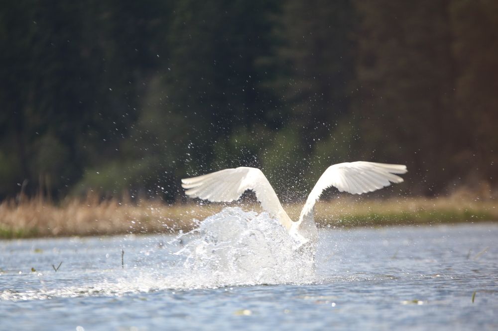 Фотография автора Elliot