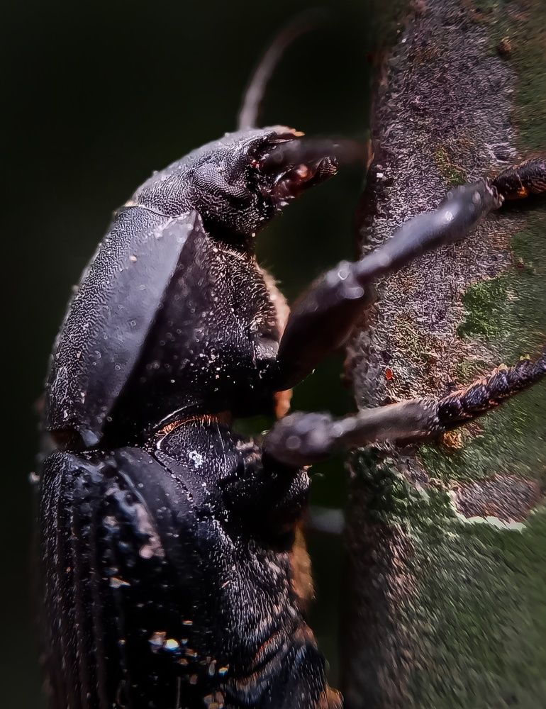 Photograph by Thimira dinisuru