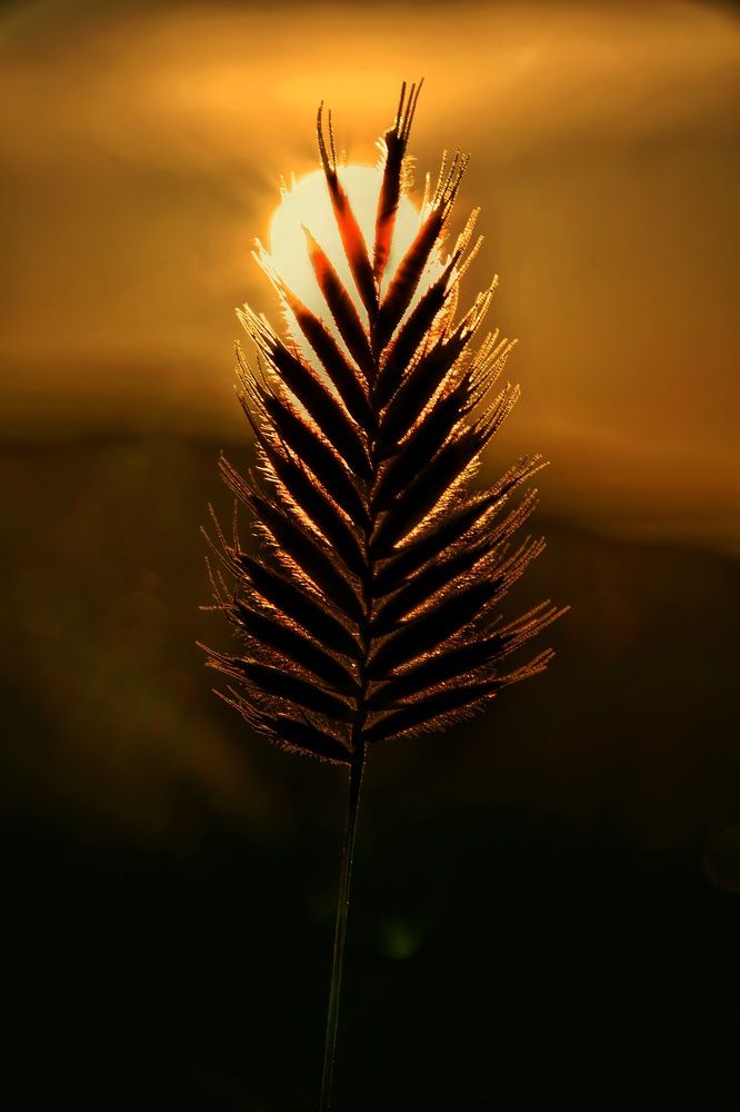 Photograph by Виктория Лобанова