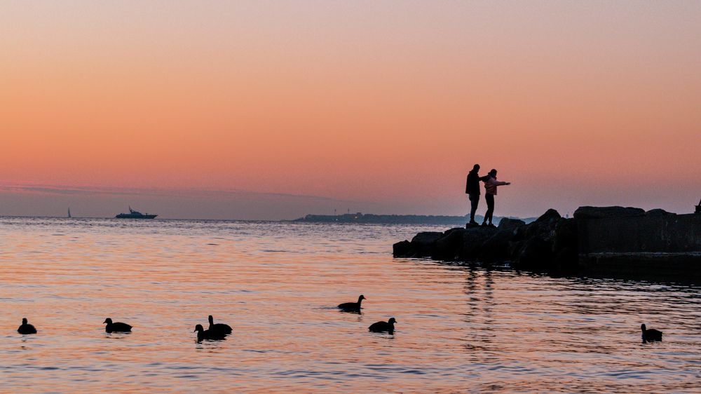 Photograph by Екатерина Мурсынина