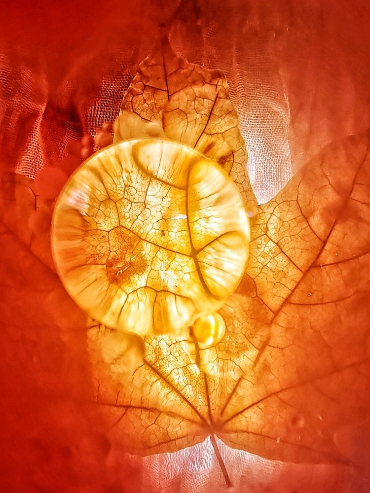 Photograph by Татьяна Егорова