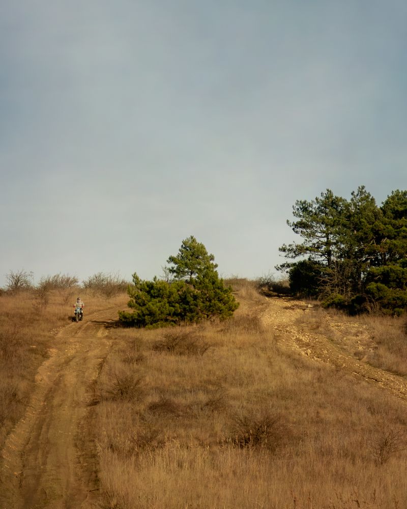 Photograph by Uliya Krakos