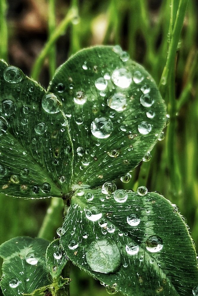 Photograph by Новикова Елена Сергеевна