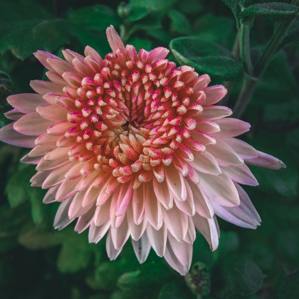 Photograph by Ирина Забродина