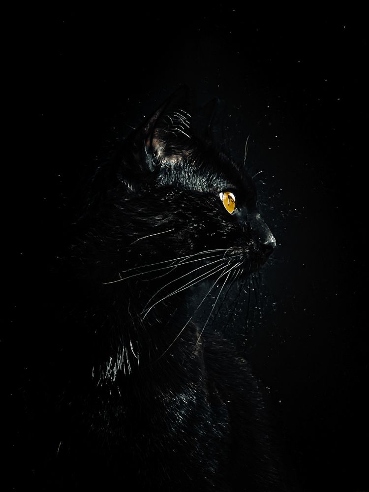 Photograph by Ganna Lobodenko