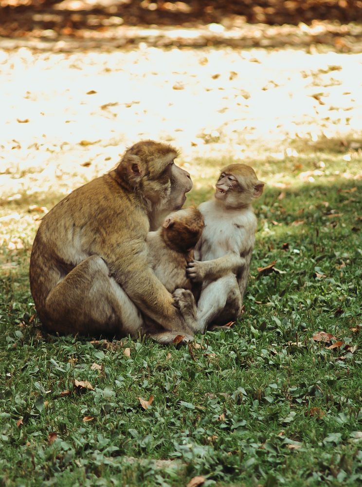 Photograph by Milana Rukaber