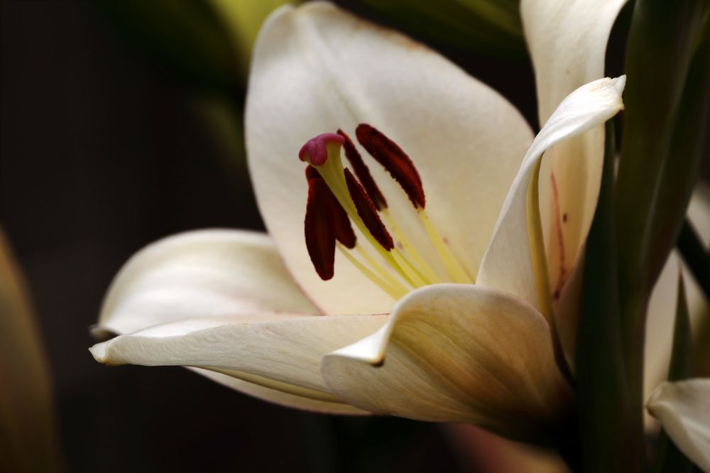 Photograph by Евгений Власов