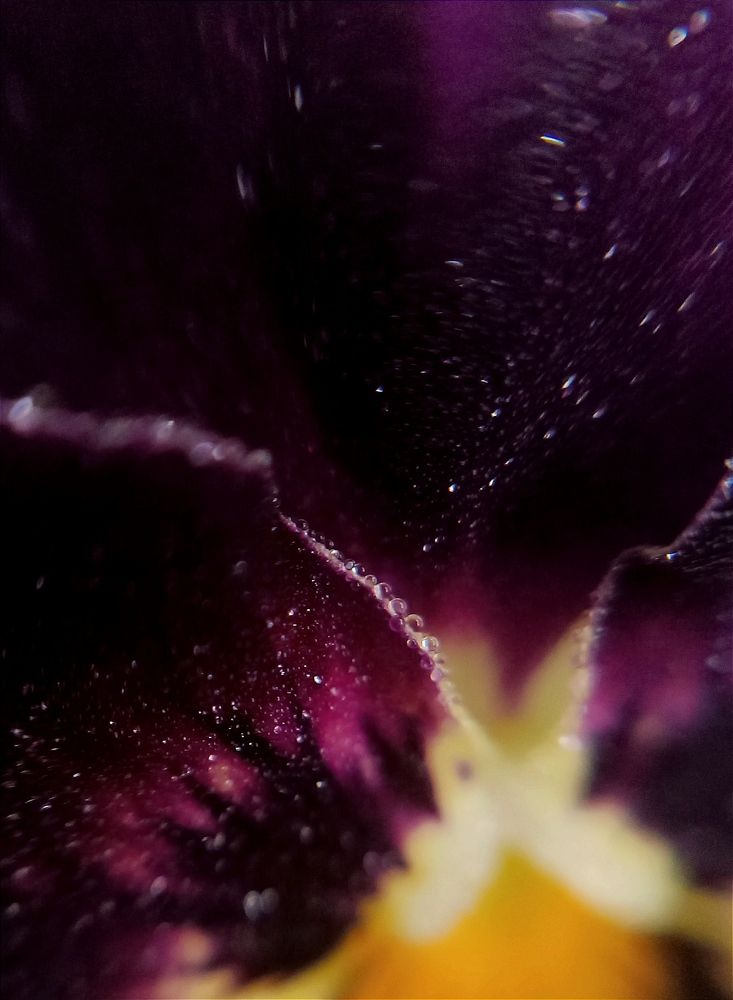 Photograph by Olga Kot