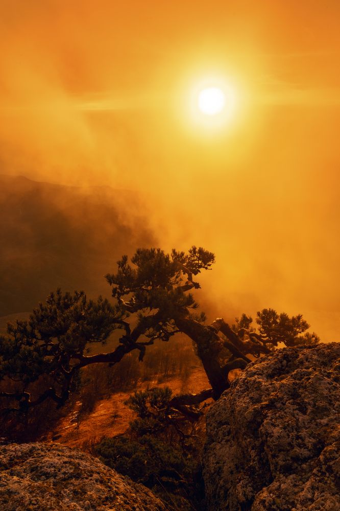 Photograph by Юлия Мальцева